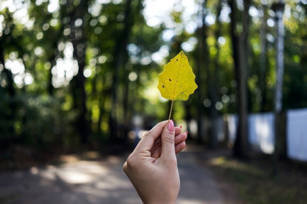 image of a trail out of focus with a hand with pink nail polish on the fingernails holding up a leaf
