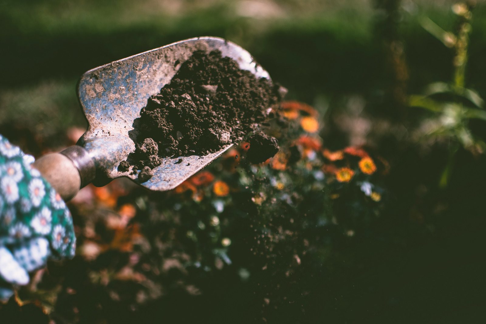 trowel with dirt