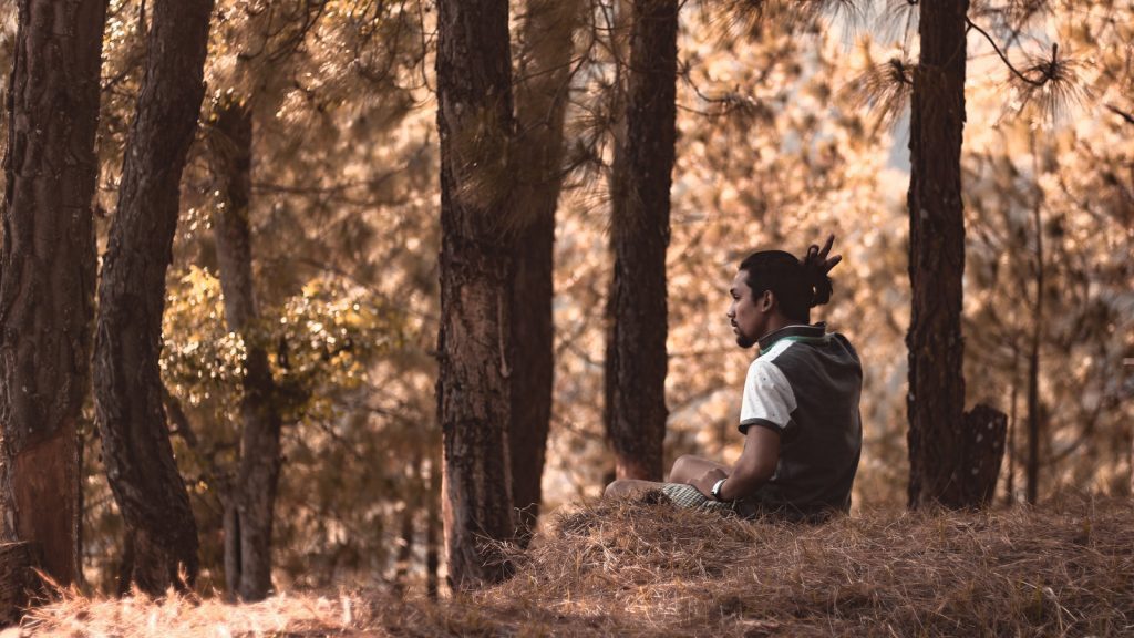 man resting in forest