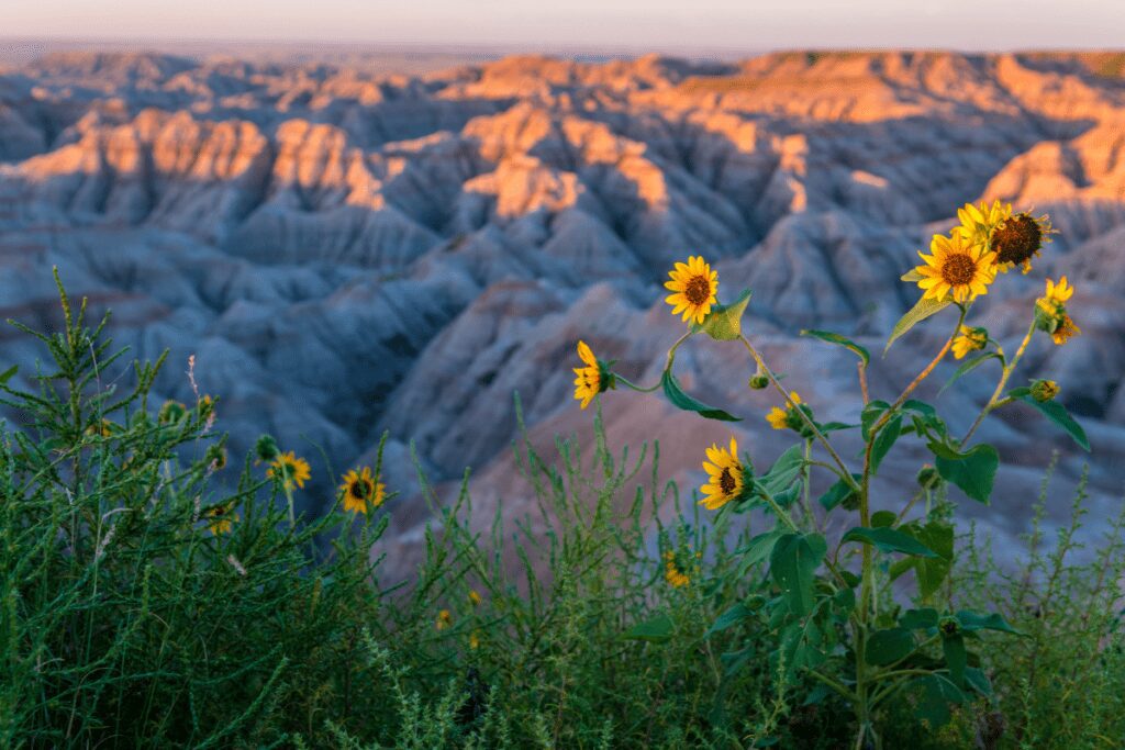 badlands