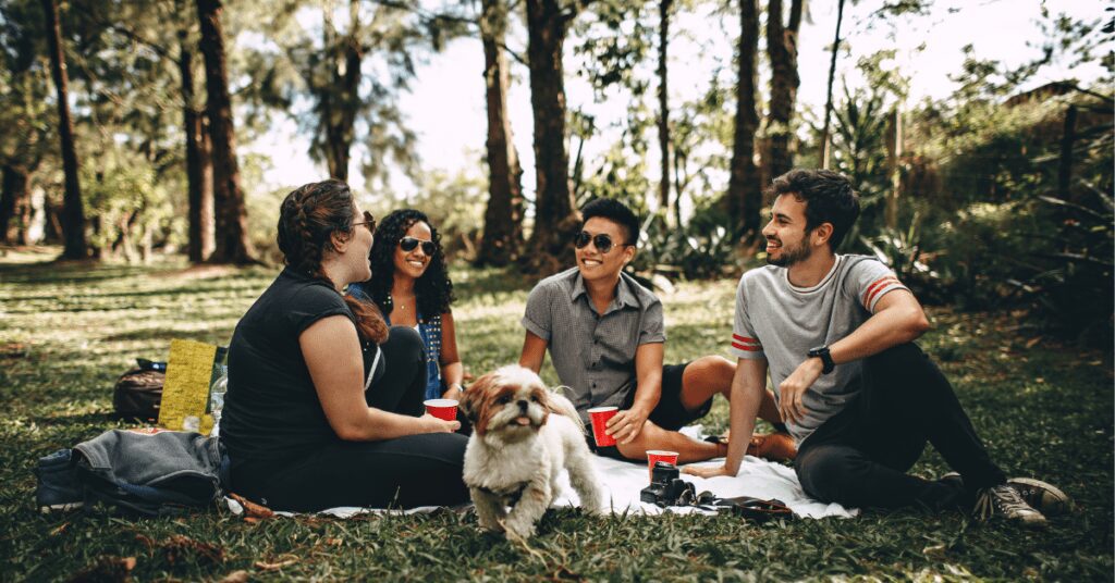 picnic fall