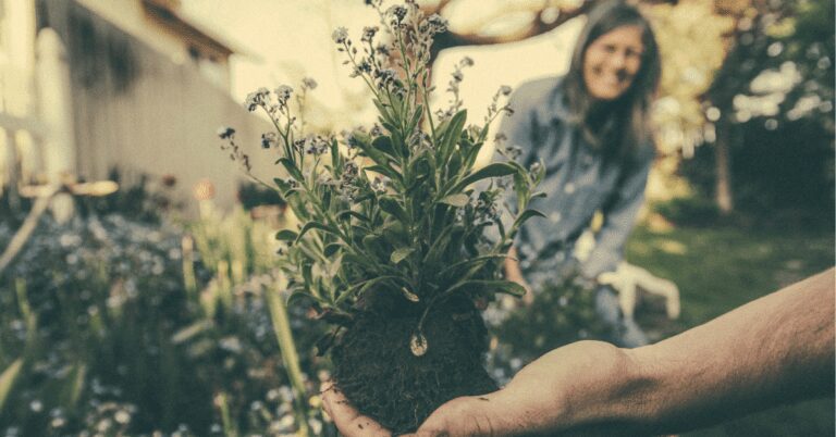 gardening