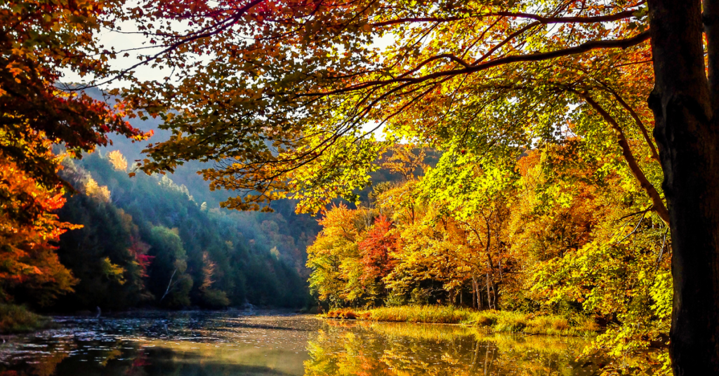fall colors