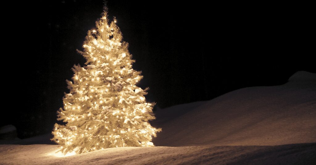 white Christmas tree