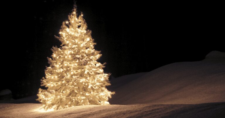 white Christmas tree
