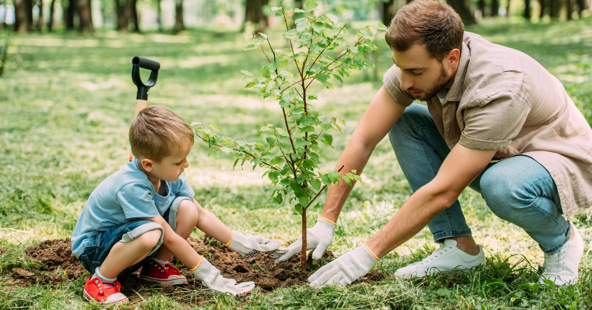 father planting a tree with son
