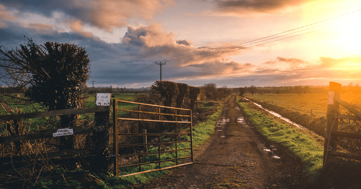 country road at sunset