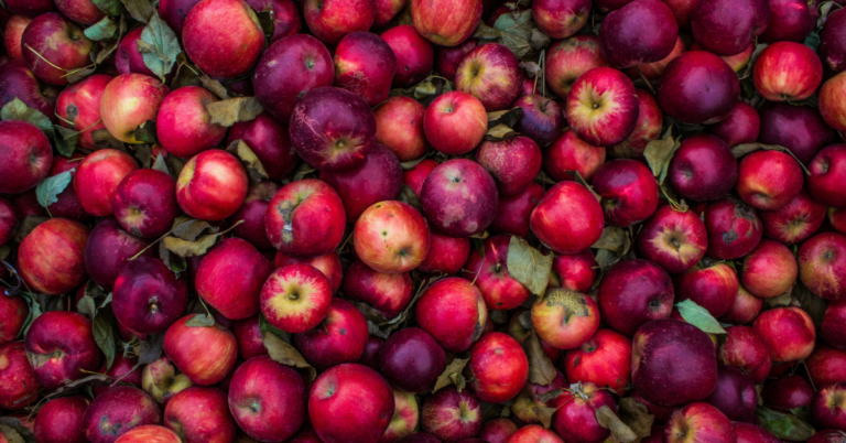 Good Courage Farm: Thinning Apples