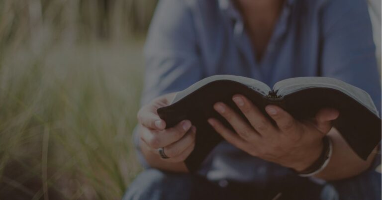 Hands holding Bible in a field