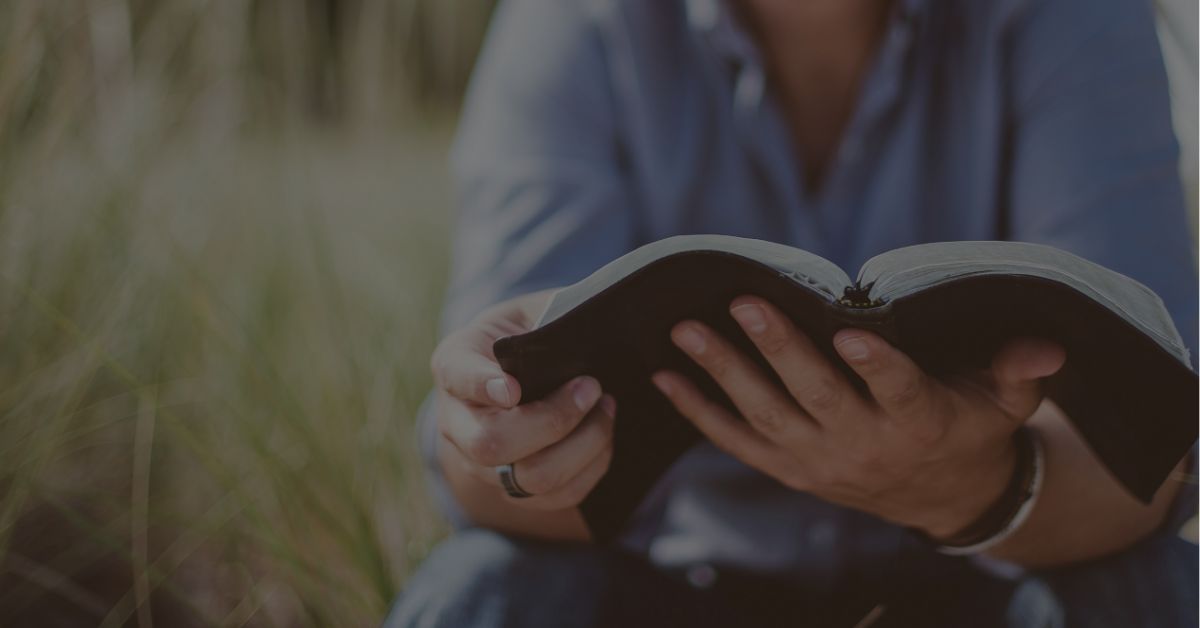 Hands holding Bible in a field