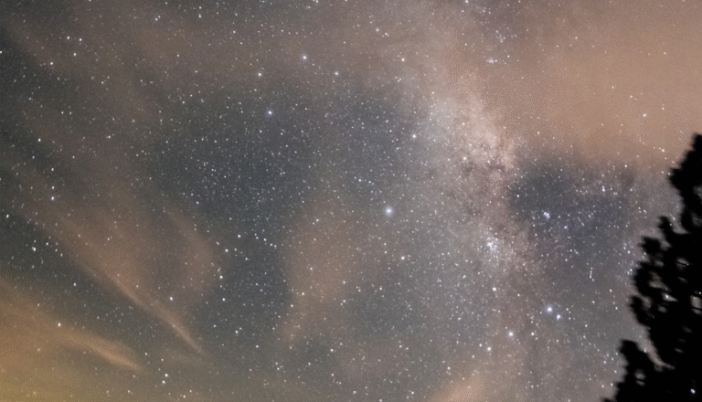 Night sky filled with stars and the Milky Way, with light clouds and a tree silhouette in the foreground.