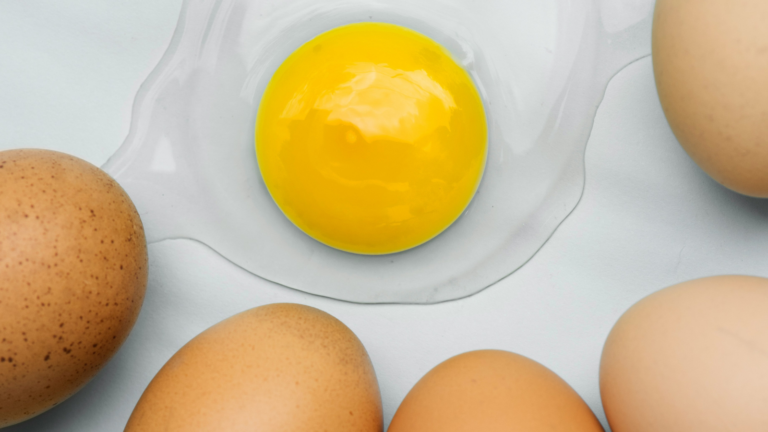 photo of eggs
