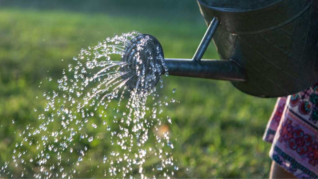photo of a watering can pouring water