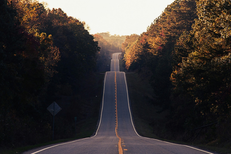 Road bisecting a forest at the golden hour